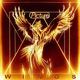 Picture (NL) : Wings